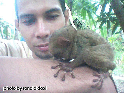 Ronald Doxi and the tarsier found in Sabang, Borongan City in 2006, pt. 2.