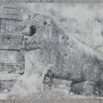 lionboronganchurch